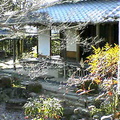 イメージなし