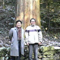 イメージなし