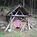 イメージなし