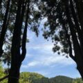 イメージなし